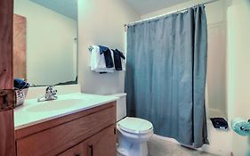 Bear Camp By The Night